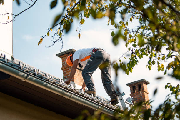 Best Metal Roofing Installation  in Otsego, MI