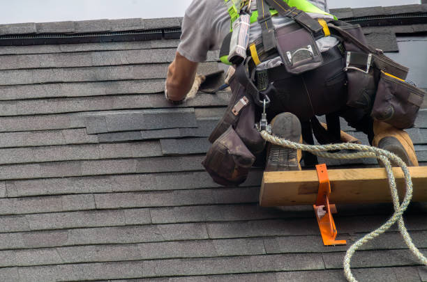Best Storm Damage Roof Repair  in Otsego, MI
