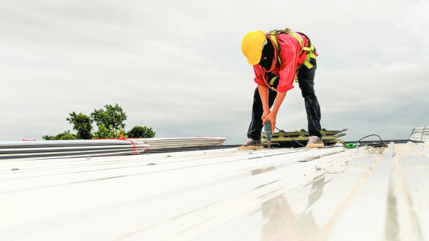  Otsego, MI Roofing Pros