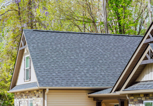 Professional Roofing in Otsego, MI