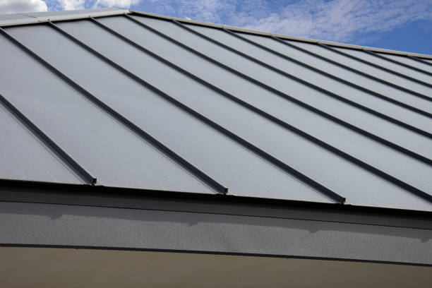 Best Roof Coating and Sealing  in Otsego, MI